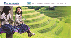 Desktop Screenshot of panap.net